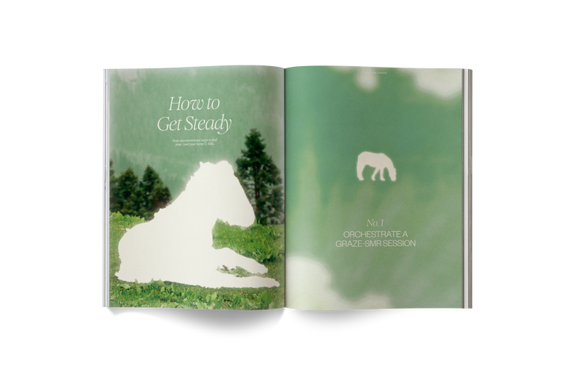 Volume Eight: STEADY